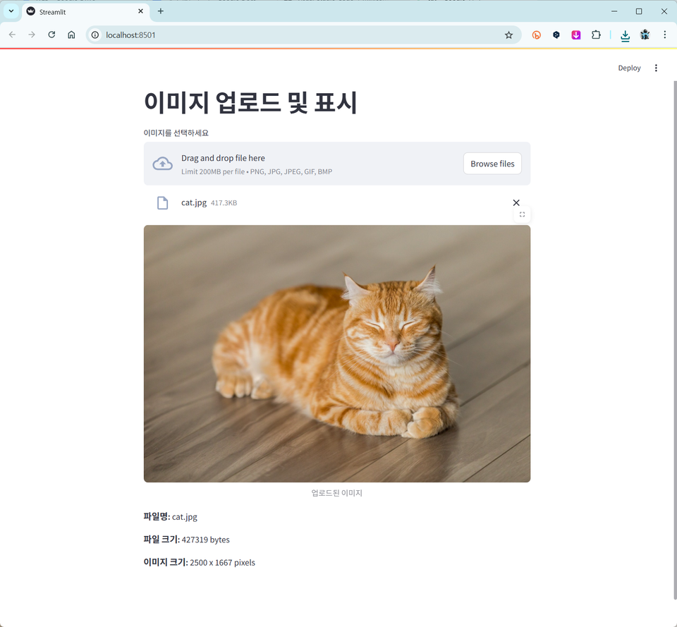 Streamlit을 간단히 사용해보기